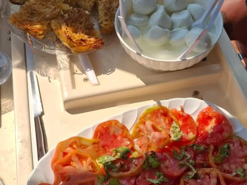 Motorboat hire in Sorrento - Tirrenia Viveur 28