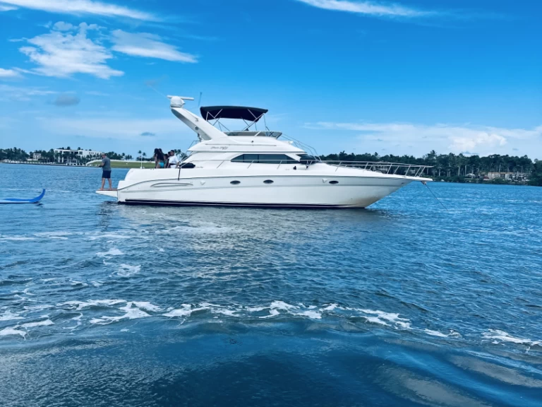 Hire Luxury Yacht with or without skipper Sea Ray Boynton Beach