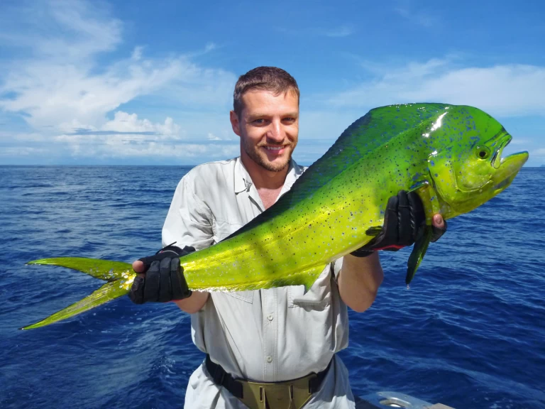 Luxury Yacht hire in Punta Cana - Custom Made Custom made