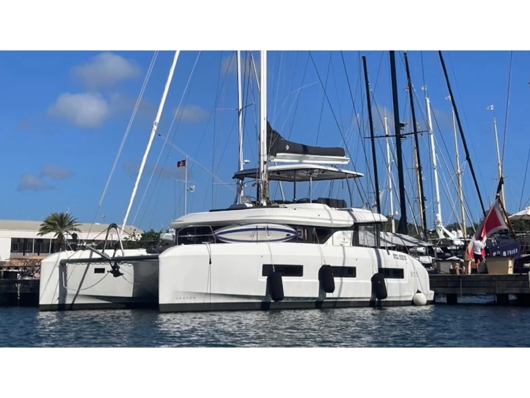Catamaran hire in Marigot - Lagoon Lagoon 55