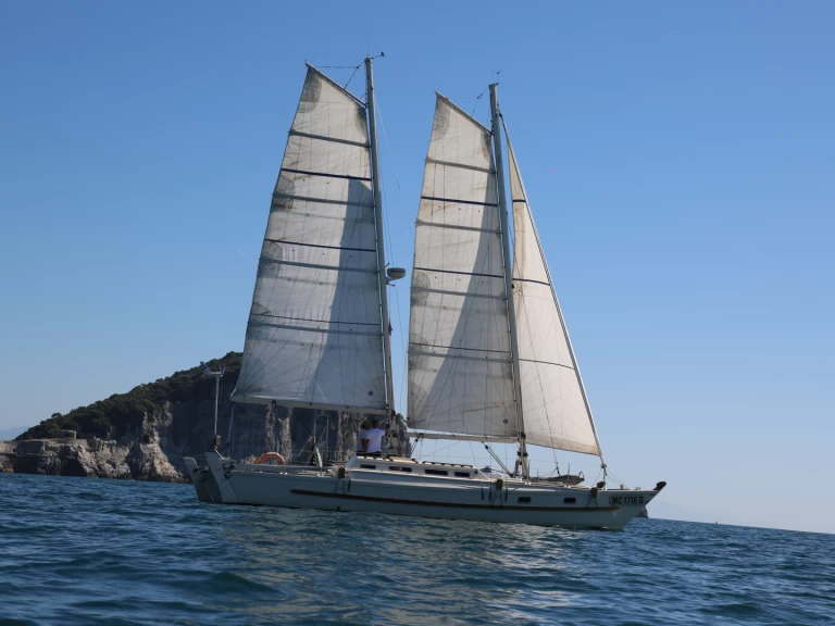 Hire Catamaran with or without skipper Wharram La Spezia