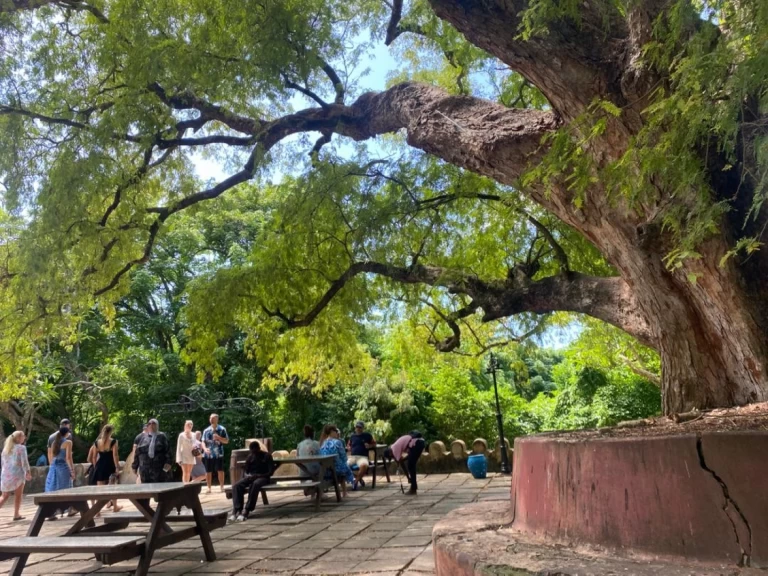 Hire a Custom Custom Zanzibar