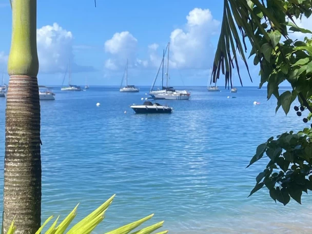 Motorboat hire in Deshaies - Pacific Craft Pacific Craft 630