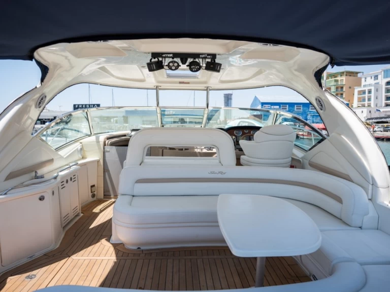 Hire Motorboat Sea Ray with a boat licence