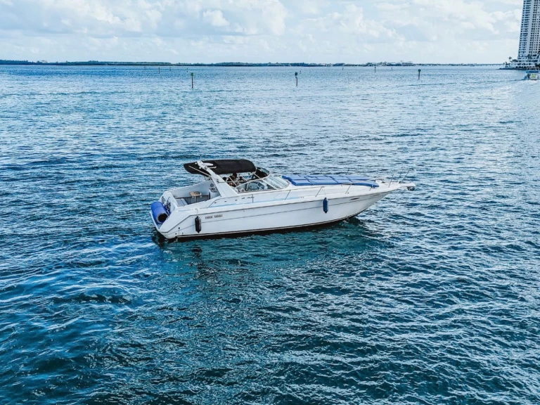 Hire Motorboat Sea Ray with a boat licence