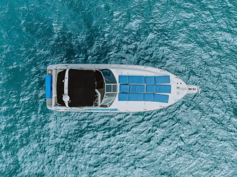 Hire a Sea Ray Sea Ray 370 Sundancer Miami