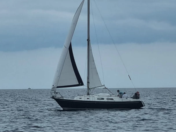 Sailboat hire in Port de Sainte-Marine - Contest contest 29