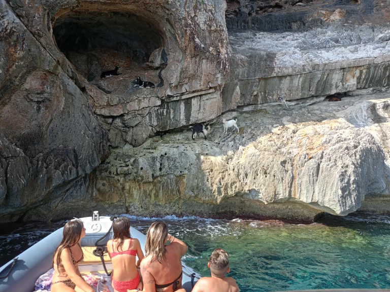 Yacht charter Cala Gonone - Nuova Jolly King 750 on SamBoat