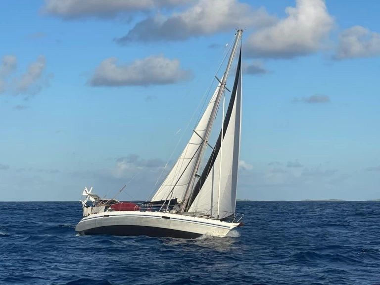 Hire a Alubat Ovni 43 La Paz