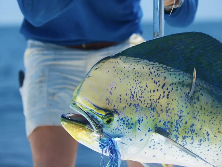 Hire a HCB 53 Suenos  Providenciales