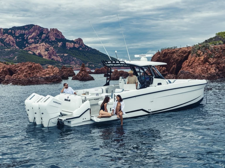 Motorboat hire in Marigot - Wellcraft 38 T TOP