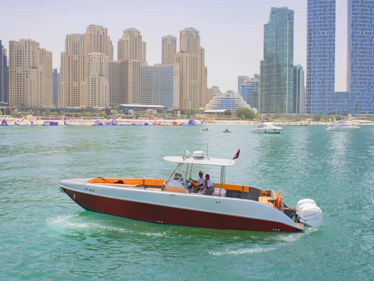 Hire Motorboat Sea Ray with a boat licence