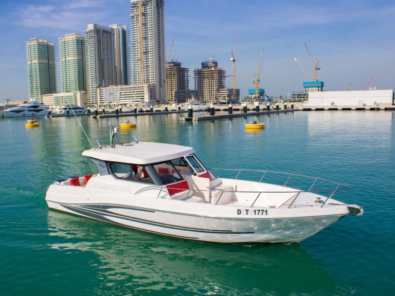 Hire Motorboat Sea Ray with a boat licence