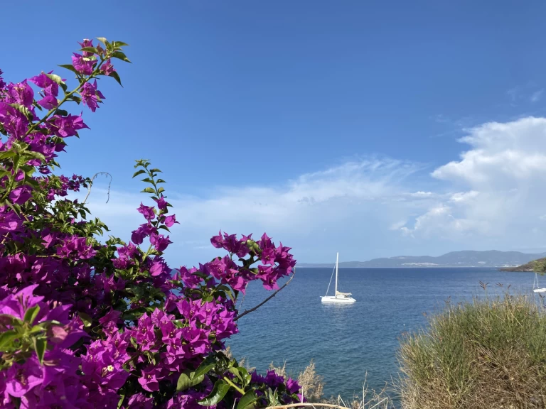 Yacht charter Pianottoli-Caldarello - ALIBI ALIBI 54 on SamBoat