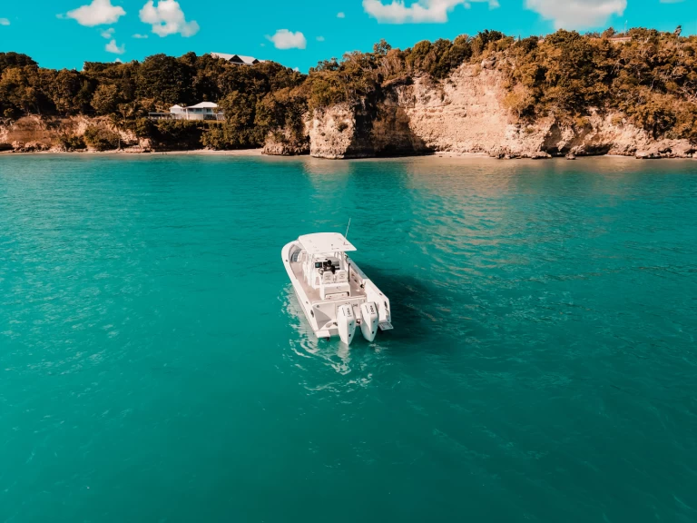 Hire Motorboat Forboat with a boat licence