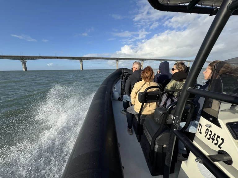 Hire RIB Narwhal with a boat licence