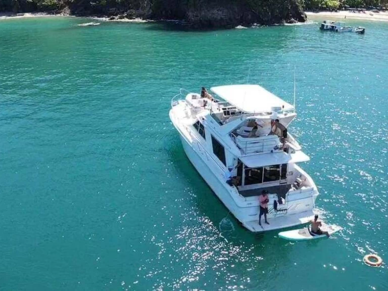 Yacht charter Quepos - Sea Ray Sea Ray 53 on SamBoat