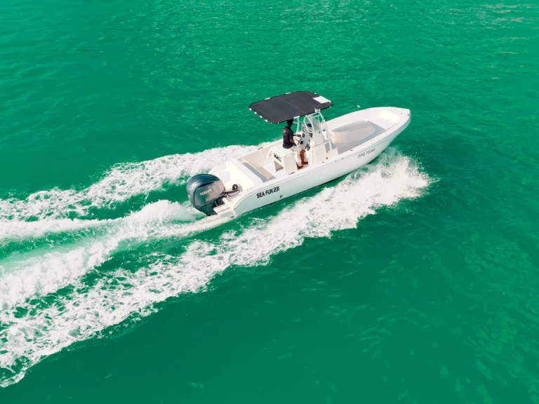 Yacht charter Le Gosier - Forboat Forbin 23 on SamBoat