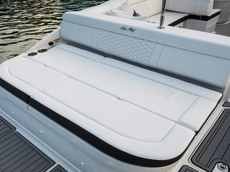 Hire Motorboat Sea Ray with a boat licence