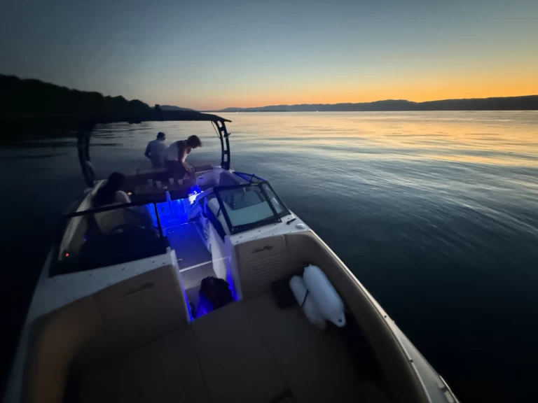 Hire Motorboat with or without skipper Sea Ray Thonon-les-Bains