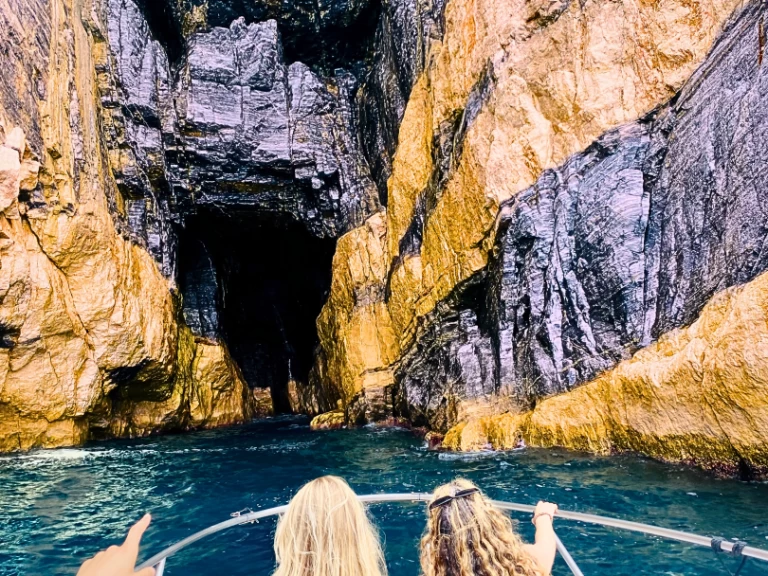 Yacht charter La Spezia - Boston Whaler Boston Whaler 220 Dauntless on SamBoat