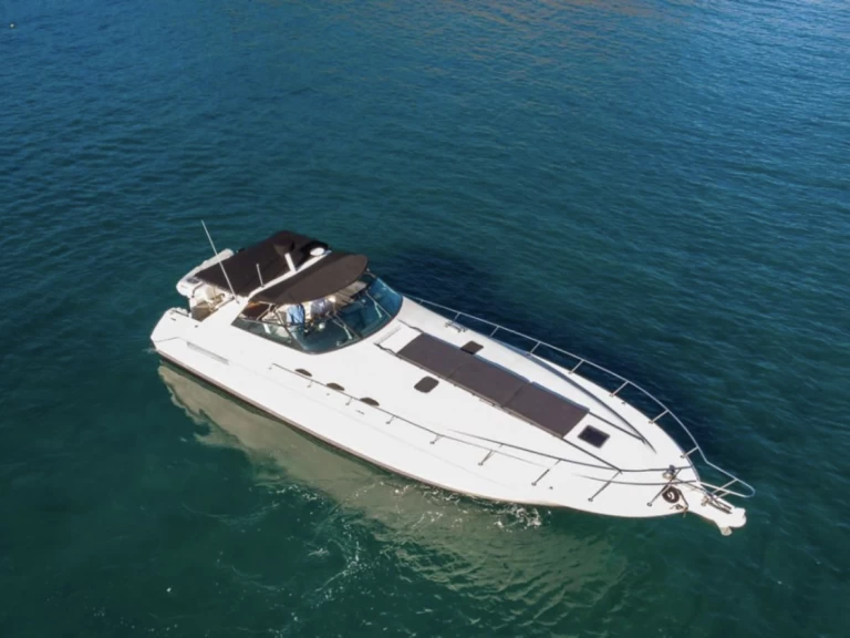 Yacht charter Marina Papagayo - Sea Ray Sea Ray 50 on SamBoat