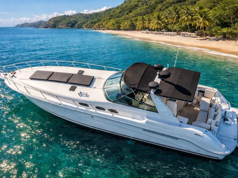 Yacht hire Marina Papagayo cheap Sea Ray 50
