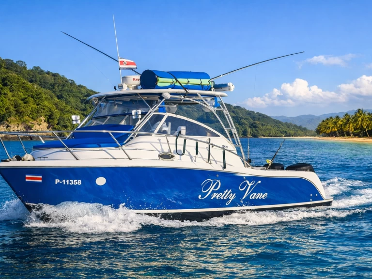 Motorboat to hire Culebra at the best price