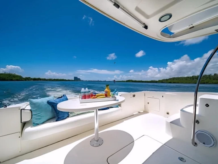 Sea Ray Sea Ray 525 Sedan Bridge charter bareboat or skippered in  Miami Beach