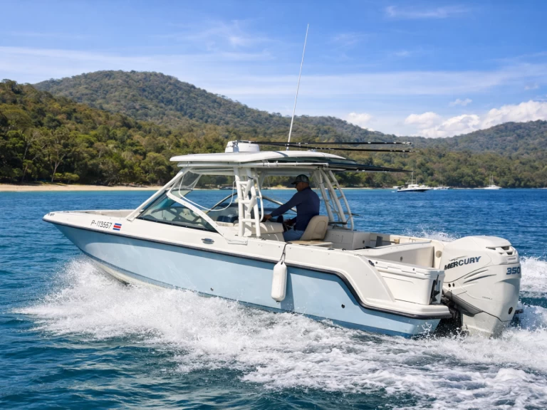 Yacht hire Coco Bay cheap Boston 24 FT