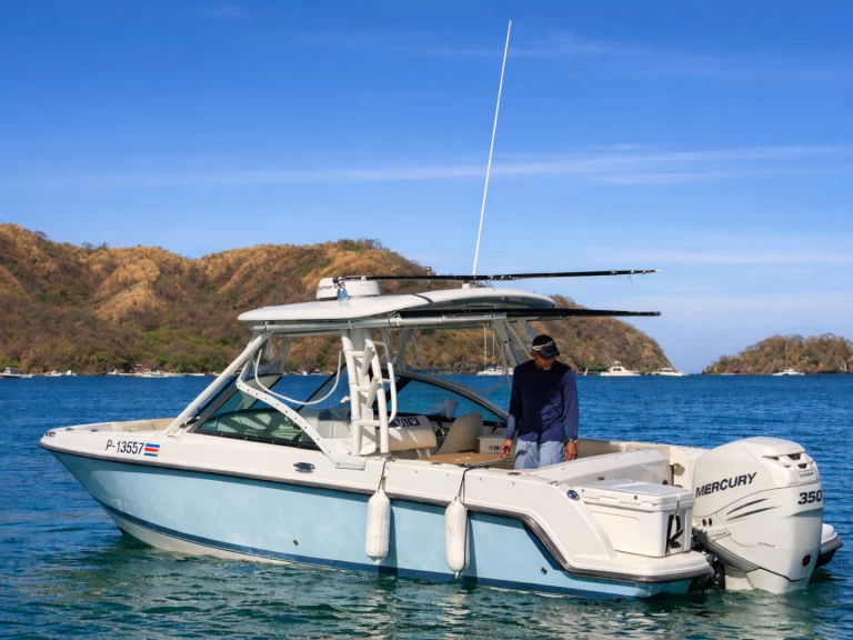 Charter a Boston Whaler Boston 24 FT in Coco Bay on Samboat