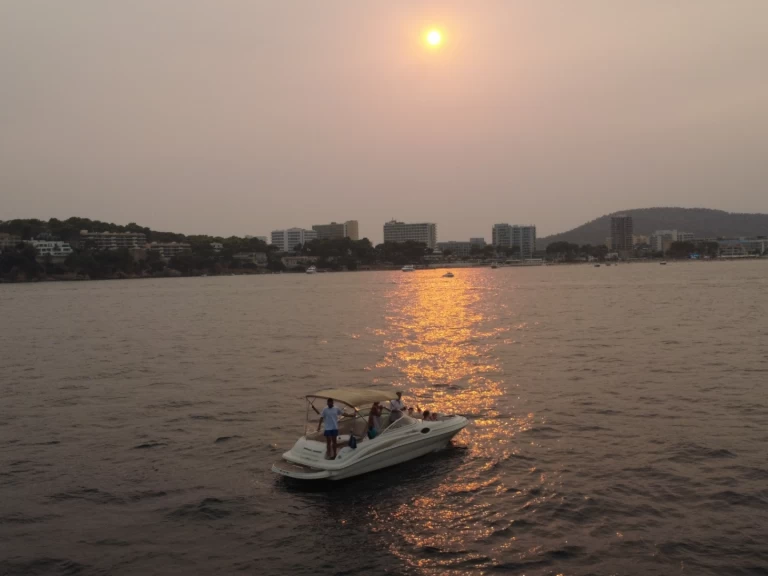 Yacht charter Palma de Mallorca - Sea Ray Sea Ray 240 Sundeck on SamBoat