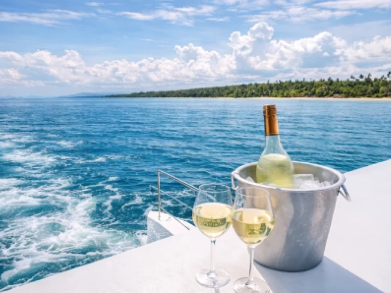 Charter a Custom - Trimarán 62 FT Trimaran in Coco Bay on Samboat