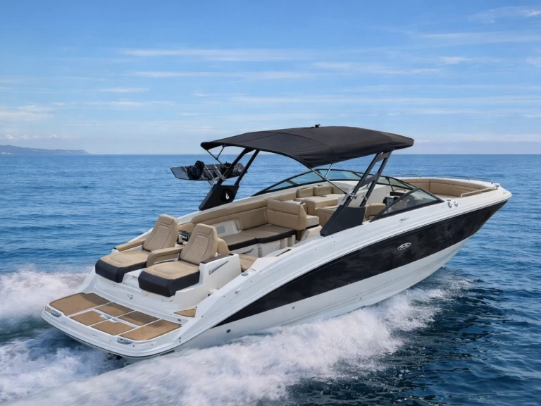 Hire Motorboat Sea Ray with a boat licence