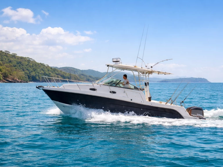 Hire Motorboat Robalo with a boat licence