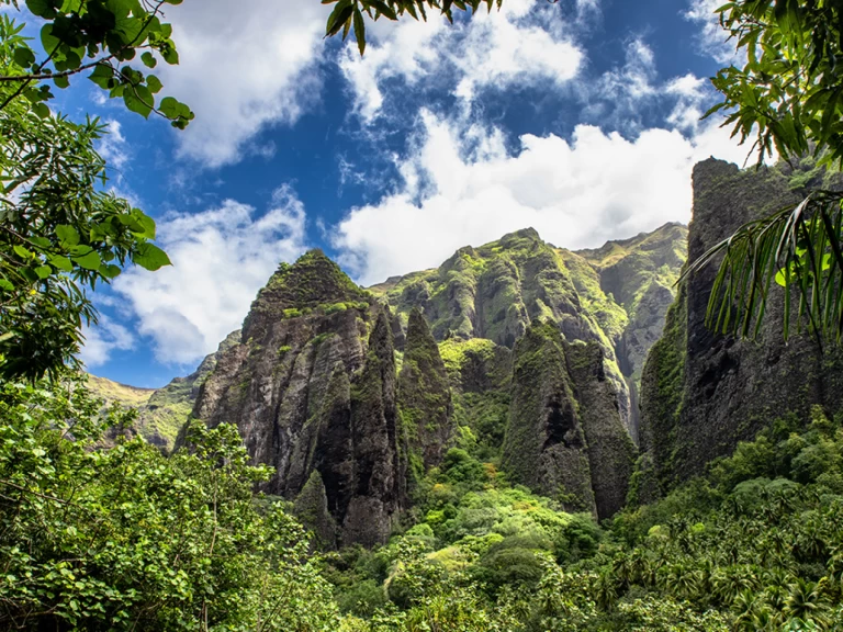 Charter a Alubat Ovni 43 in La Paz on Samboat