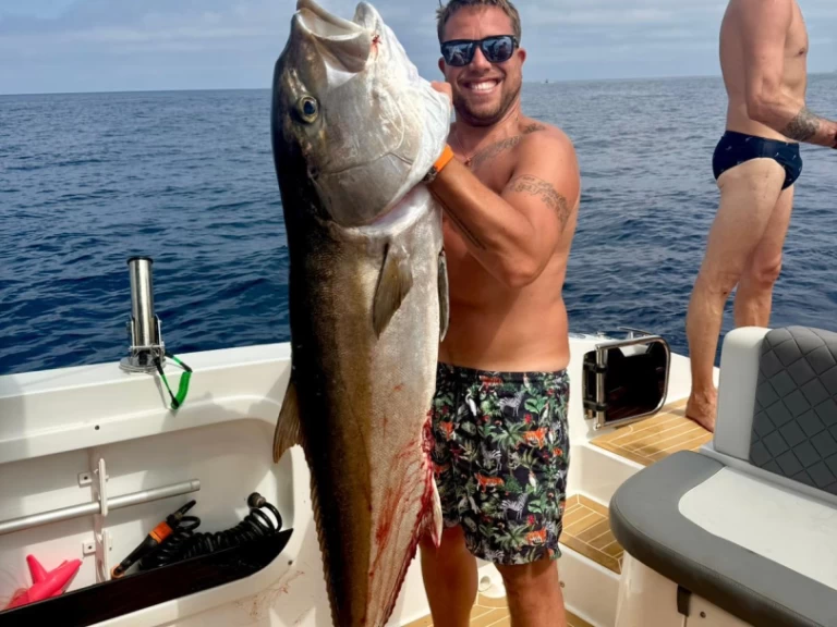 Motorboat to hire Marina di Portisco at the best price