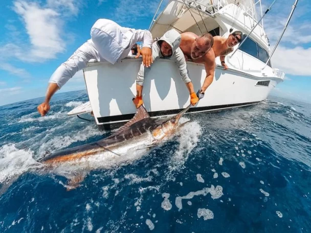 Charter a Viking Viking 50 in Marina Papagayo on Samboat