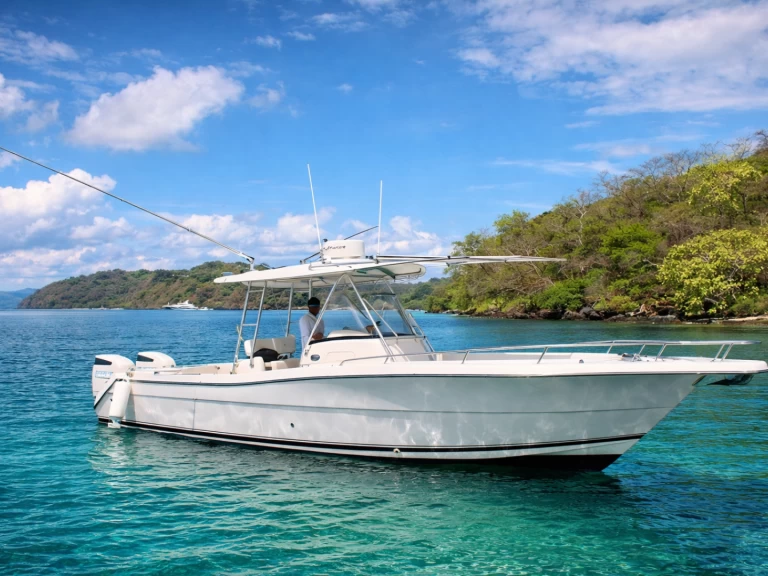 Pursuit Pursuit 32 charter bareboat or skippered in  Coco Bay