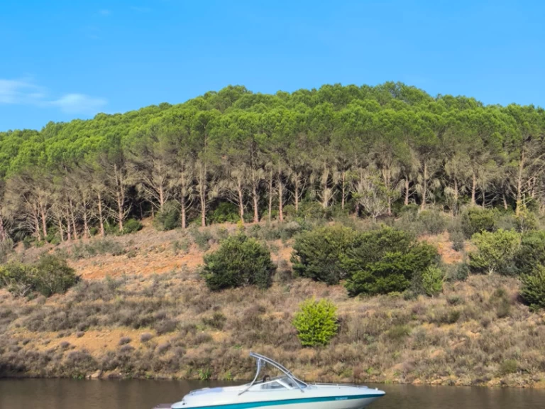 Yacht hire Ferragudo cheap SSV 215