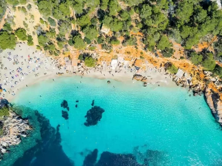 Charter a Quicksilver 410 Fish Consola in Sant Antoni de Portmany on Samboat
