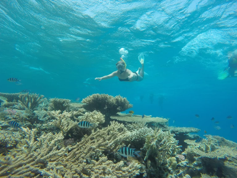 Hire a  Custom Built  444 Sharm el Sheikh