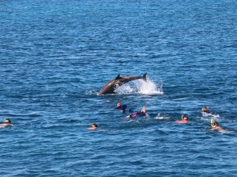 Hire Luxury Yacht  with a boat licence