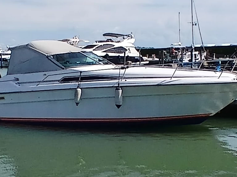 Luxury Yacht hire in Venice - Sea Ray Sea Ray 310 Express