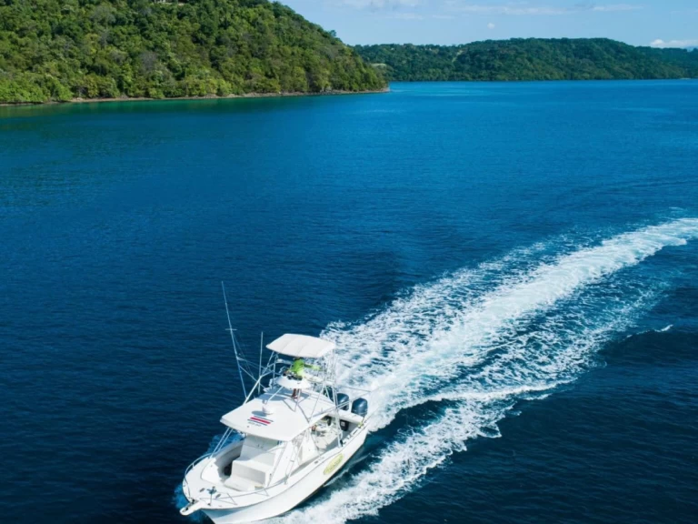 Hire Motorboat with or without skipper Custom Coco Bay