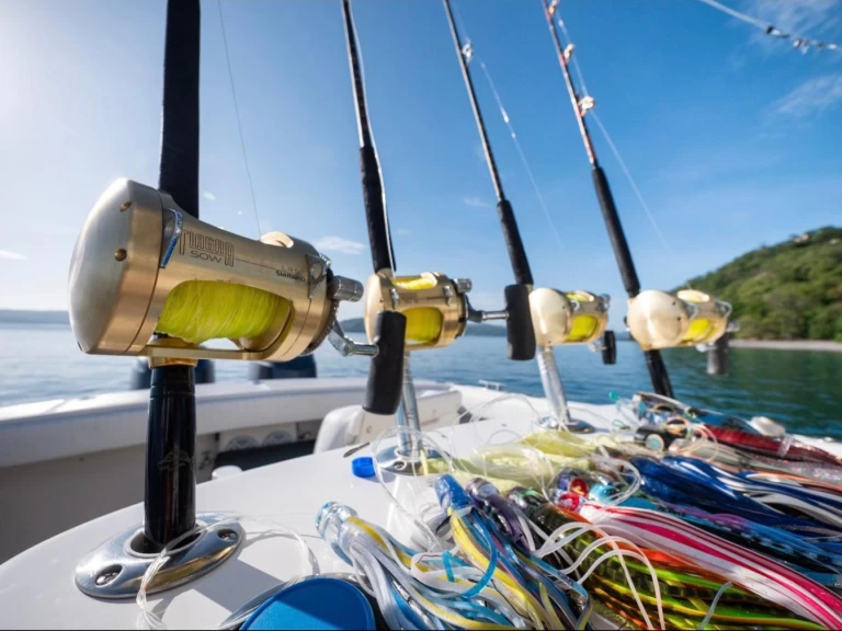 Motorboat to hire Coco Bay at the best price