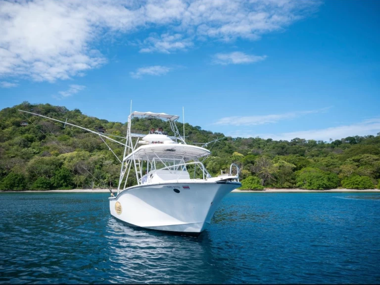 Yacht charter Coco Bay - Custom Fisherman 35FT  on SamBoat
