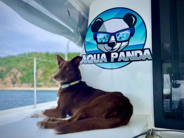 Catamaran hire in Kingstown - Fountaine Pajot Lucia 40