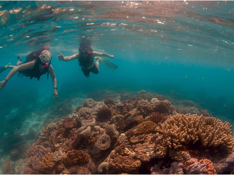 Motorboat hire in Punta Cana - Custom Custom