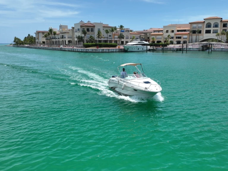 Hire Motorboat Custom with a boat licence